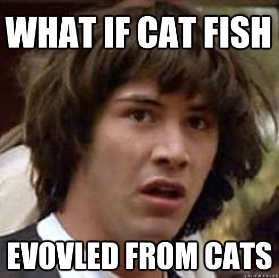 What if Cat fish  Evovled from cats  conspiracy keanu