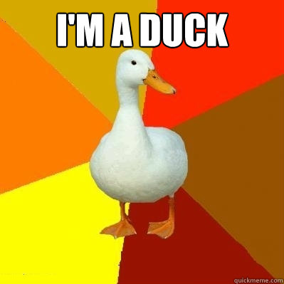 I'm a duck  - I'm a duck   Tech Impaired Duck