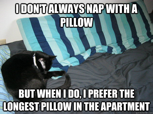 I don't always nap with a pillow But when I do, I prefer the longest pillow in the apartment - I don't always nap with a pillow But when I do, I prefer the longest pillow in the apartment  Cats and pillows