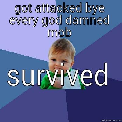 GOT ATTACKED BYE EVERY GOD DAMNED MOB SURVIVED  Success Kid