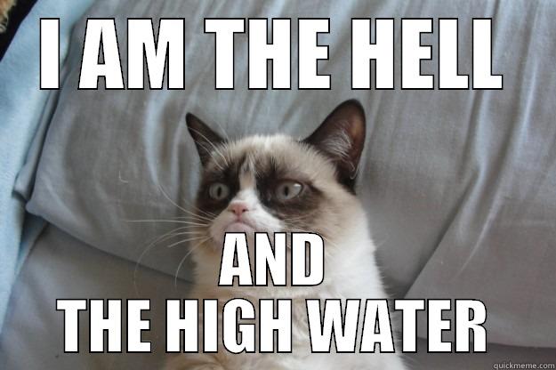 I AM THE HELL AND THE HIGH WATER Grumpy Cat
