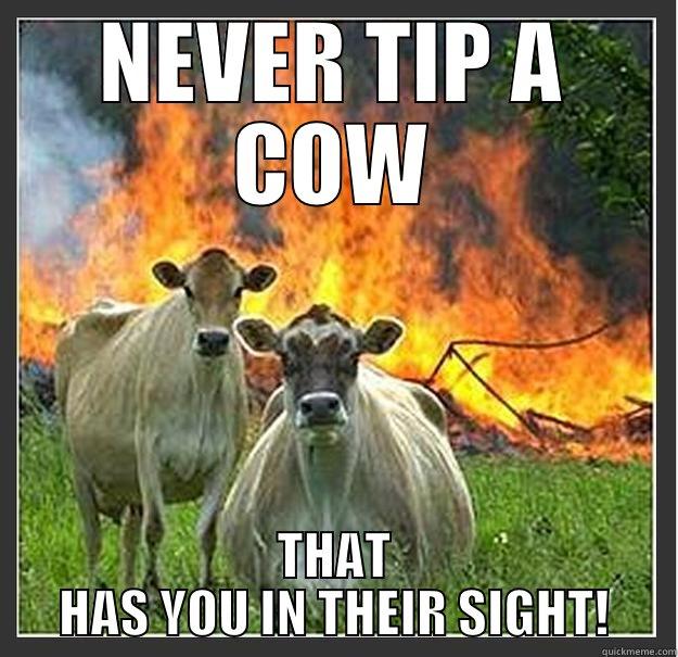 COWTIPPING 101 - NEVER TIP A COW THAT HAS YOU IN THEIR SIGHT! Evil cows