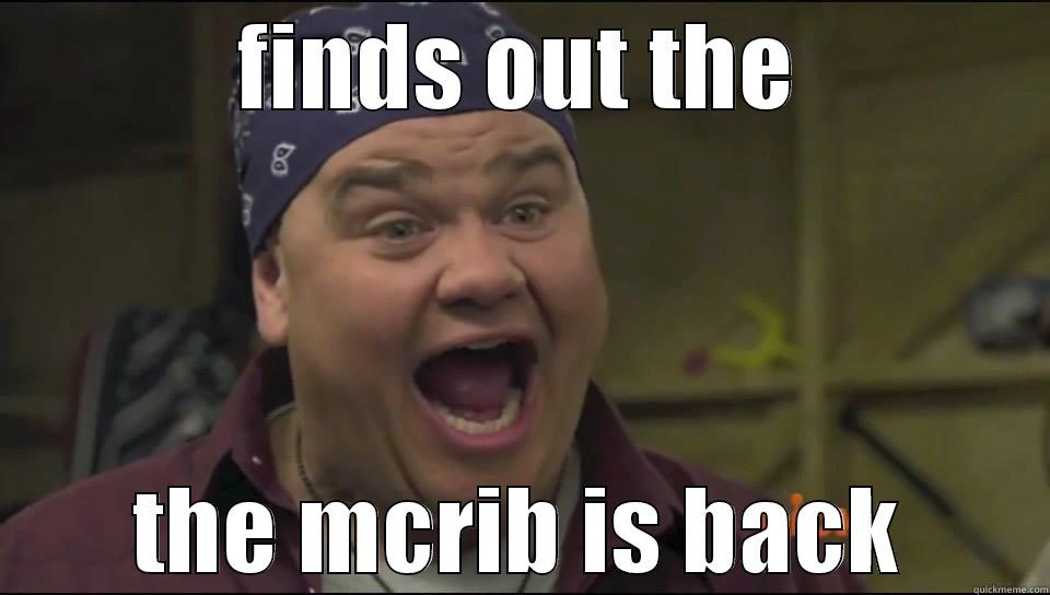 FINDS OUT THE THE MCRIB IS BACK Misc