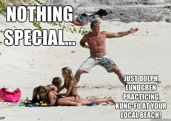 Nothing special... just dolph lundgren practicing kung-fu at your local beach!  Dolph Beach