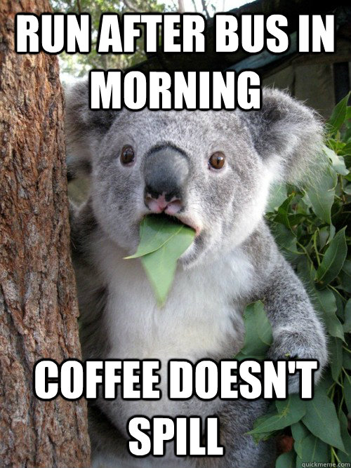 Run after bus in morning coffee doesn't spill - Run after bus in morning coffee doesn't spill  koala bear