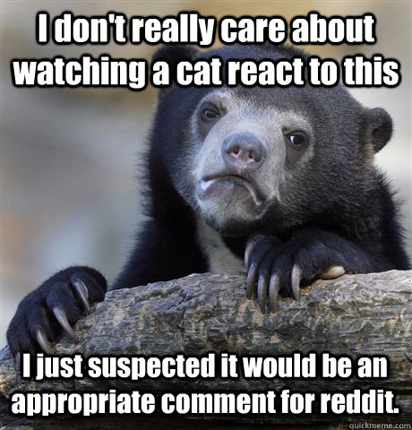 I don't really care about watching a cat react to this I just suspected it would be an appropriate comment for reddit.  Confession Bear