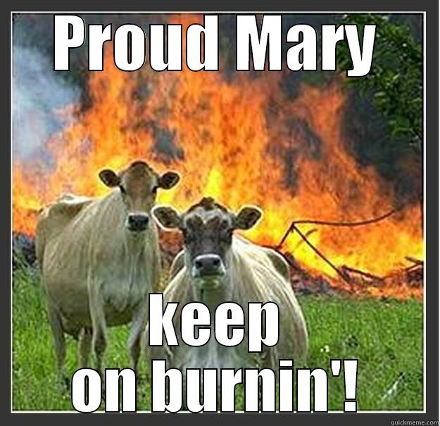 PROUD MARY KEEP ON BURNIN'! Evil cows