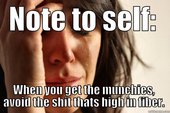 NOTE TO SELF: WHEN YOU GET THE MUNCHIES, AVOID THE SHIT THATS HIGH IN FIBER. First World Problems