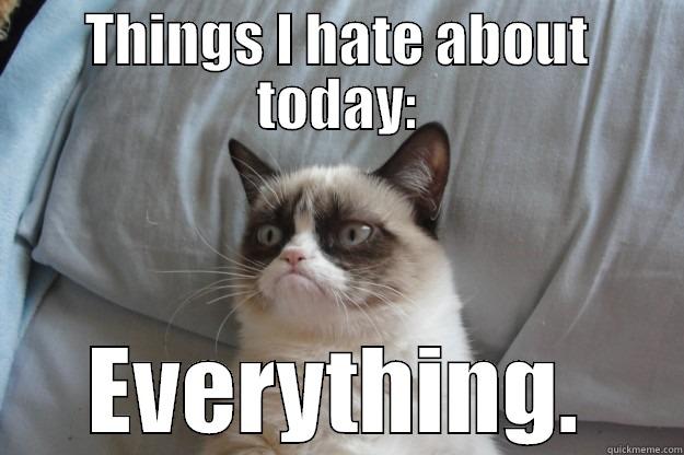 Everything sucks - THINGS I HATE ABOUT TODAY: EVERYTHING. Grumpy Cat