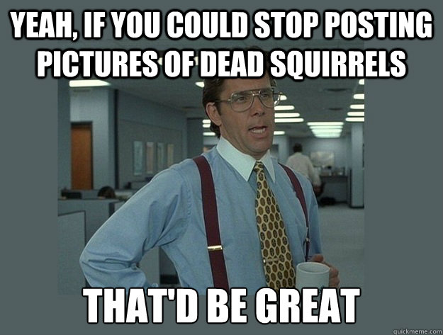 yeah, if you could stop posting pictures of dead squirrels That'd be great - yeah, if you could stop posting pictures of dead squirrels That'd be great  Office Space Lumbergh