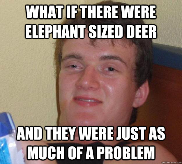 What if there were elephant sized deer and they were just as much of a problem  10 Guy