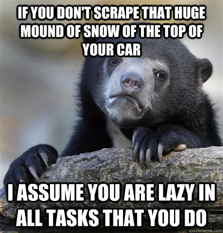 If you don't scrape that huge mound of snow of the top of your car I assume you are lazy in all tasks that you do  Confession Bear