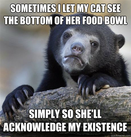 SOMETIMES I LET MY CAT SEE THE BOTTOM OF HER FOOD BOWL SIMPLY SO SHE'LL ACKNOWLEDGE MY EXISTENCE  Confession Bear