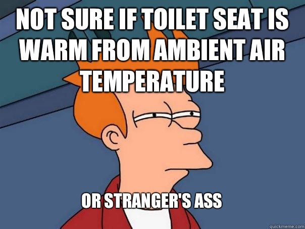 Not sure if toilet seat is warm from ambient air temperature Or stranger's ass  Futurama Fry