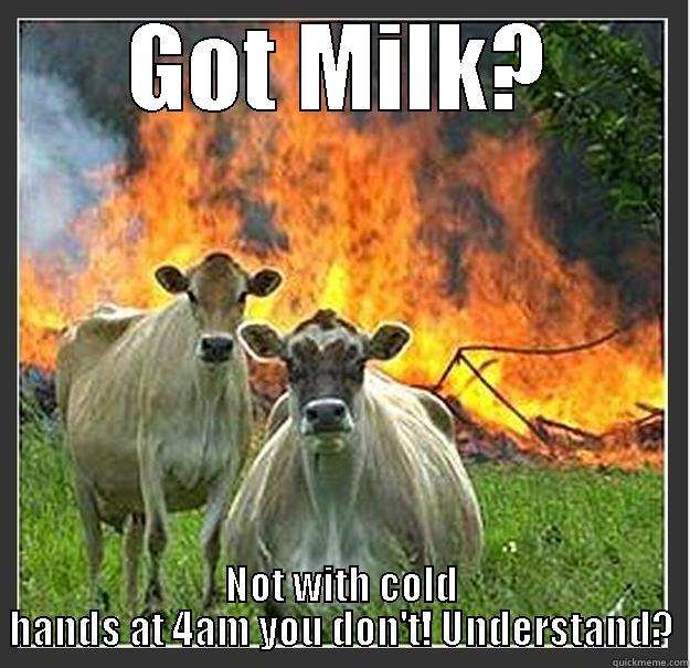 GOT MILK? NOT WITH COLD HANDS AT 4AM YOU DON'T! UNDERSTAND? Evil cows