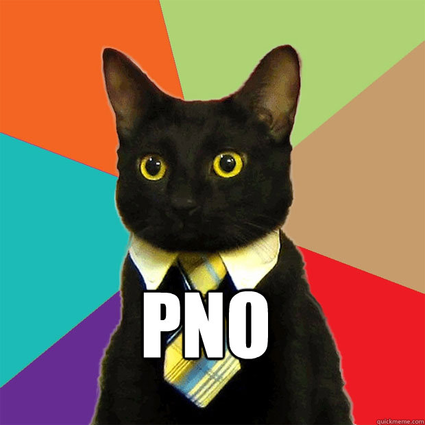  PnO  Business Cat