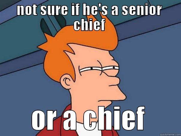 NOT SURE IF HE'S A SENIOR CHIEF OR A CHIEF Futurama Fry