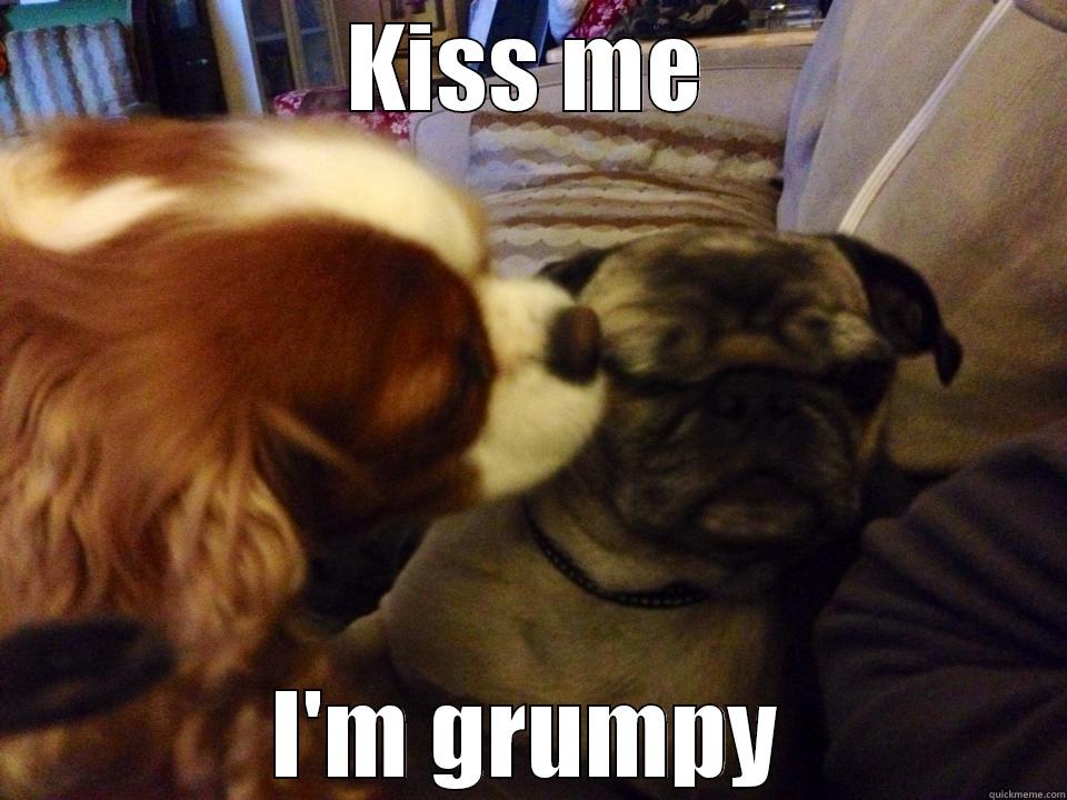 KISS ME I'M GRUMPY Misc