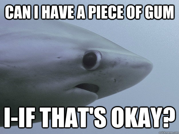 Can I have a piece of gum I-if that's okay?  Shy Shark