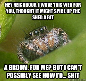 hey neighbour, i wove this web for you, thought it might spice up the shed a bit a broom, for me? but i can't possibly see how i'd... shit  Misunderstood Spider