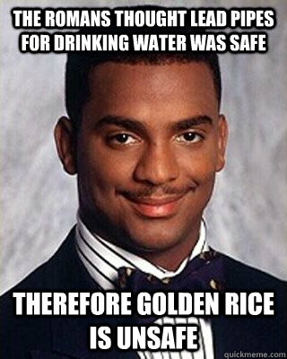 The Romans thought Lead Pipes for Drinking Water was Safe Therefore Golden Rice is Unsafe - The Romans thought Lead Pipes for Drinking Water was Safe Therefore Golden Rice is Unsafe  Non-sequitur Carlton