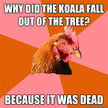 why did the koala fall out of the tree? because it was dead  Anti-Joke Chicken