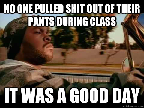 no one pulled shit out of their pants during class IT WAS A GOOD DAY  ice cube good day