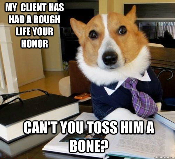 my  client has had a rough life your honor can't you toss him a bone?  Lawyer Dog