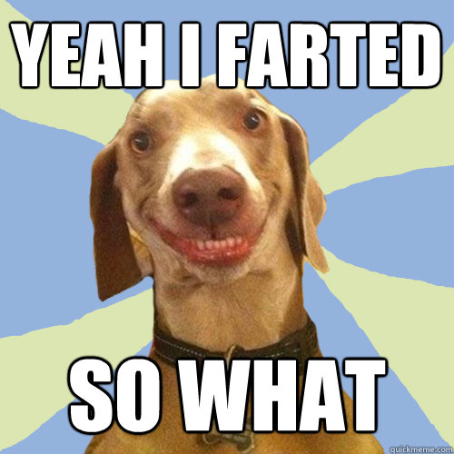 Yeah I farted so what  Disgusting Doggy