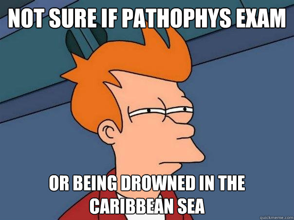 Not sure if Pathophys exam  Or being drowned in the Caribbean sea - Not sure if Pathophys exam  Or being drowned in the Caribbean sea  Futurama Fry