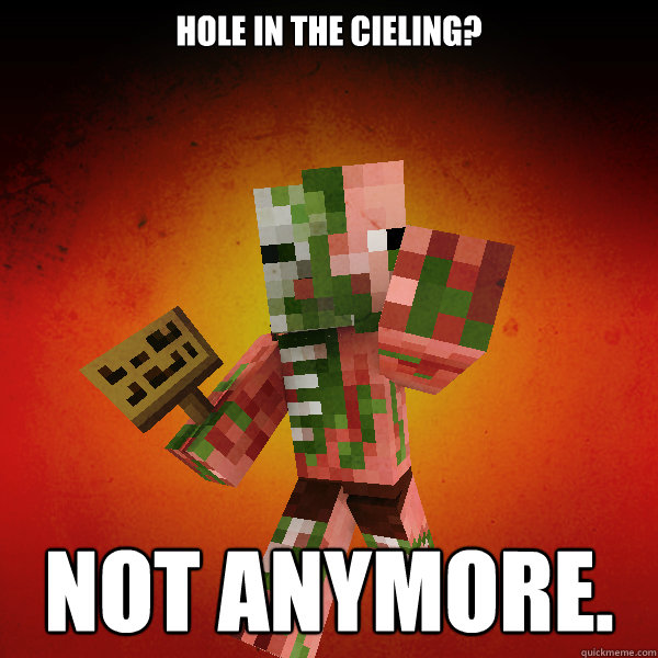 Hole in the cieling?  Not anymore. - Hole in the cieling?  Not anymore.  Zombie Pigman Zisteau