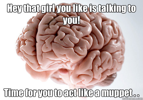 Hey that girl you like is talking to you! Time for you to act like a muppet . .    - Hey that girl you like is talking to you! Time for you to act like a muppet . .     Scumbag Brain