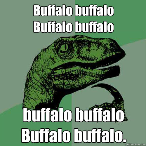 Buffalo buffalo 
Buffalo buffalo buffalo buffalo Buffalo buffalo.  Philosoraptor