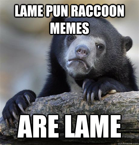 Lame pun raccoon memes are lame - Lame pun raccoon memes are lame  Confession Bear