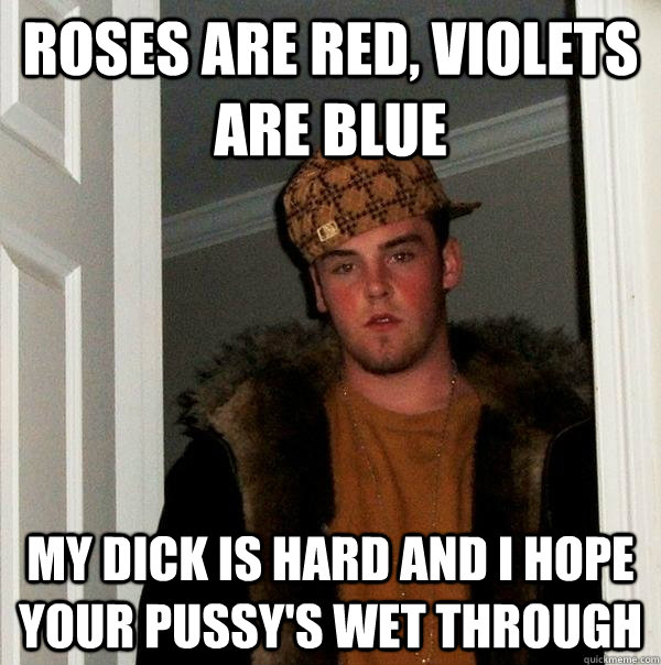 roses are red, violets are blue my dick is hard and i hope your pussy's wet through - roses are red, violets are blue my dick is hard and i hope your pussy's wet through  Scumbag Steve