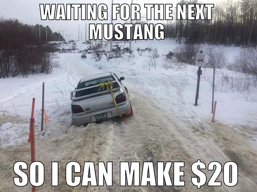 WAITING FOR THE NEXT MUSTANG SO I CAN MAKE $20 Misc