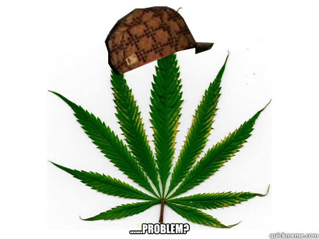  ......problem?  Scumbag Marijuana