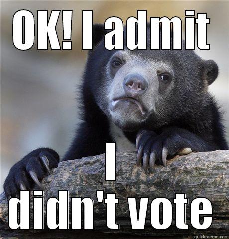 BEAR essential - OK! I ADMIT I DIDN'T VOTE Confession Bear