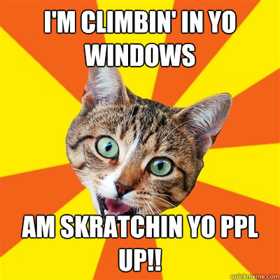 I'm climbin' in yo windows Am skratchin yo ppl up!!  Bad Advice Cat