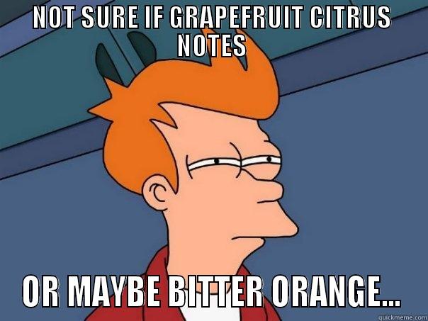 NOT SURE IF GRAPEFRUIT CITRUS NOTES OR MAYBE BITTER ORANGE... Futurama Fry