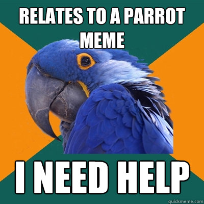 Relates to a parrot meme I need help - Relates to a parrot meme I need help  Paranoid Parrot