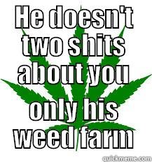 weed lols - HE DOESN'T TWO SHITS ABOUT YOU ONLY HIS WEED FARM Misc