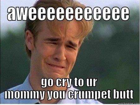 AWEEEEEEEEEEE GO CRY TO UR MOMMY YOU CRUMPET BUTT 1990s Problems