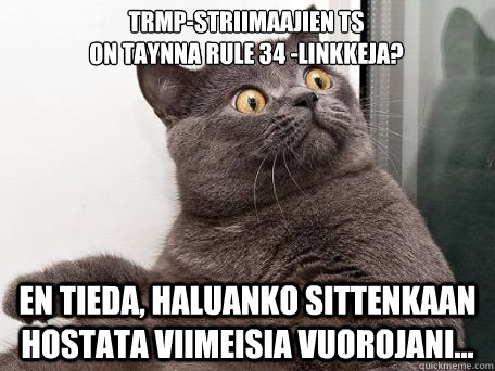 trmp-striimaajien ts 
on taynna rule 34 -linkkeja? en tieda, haluanko sittenkaan hostata viimeisia vuorojani...  conspiracy cat