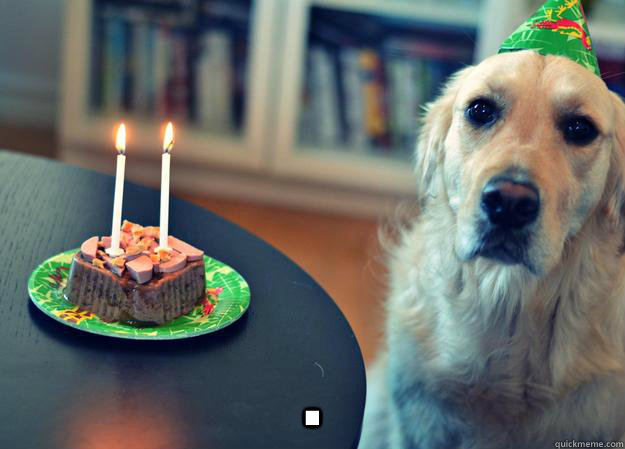  .  Sad Birthday Dog