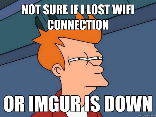 Not sure if I lost wifi connection Or Imgur is down  Futurama Fry