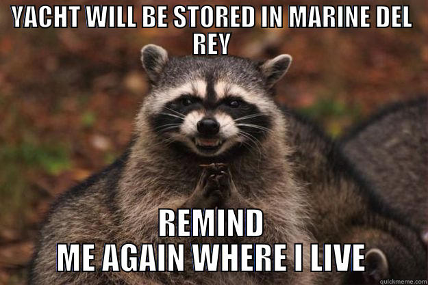 YACHT WILL BE STORED IN MARINE DEL REY REMIND ME AGAIN WHERE I LIVE Evil Plotting Raccoon