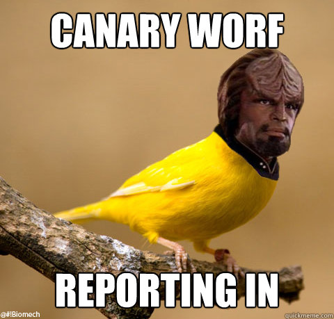 Canary Worf reporting in  