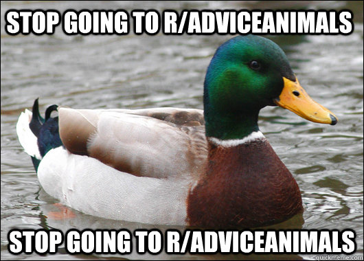 Stop going to r/adviceanimals Stop going to r/adviceanimals - Stop going to r/adviceanimals Stop going to r/adviceanimals  Actual Advice Mallard