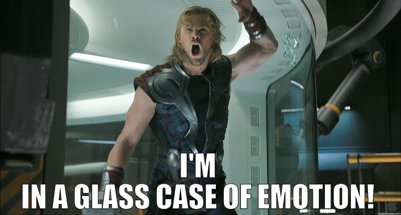  I'M IN A GLASS CASE OF EMOTION! Misc